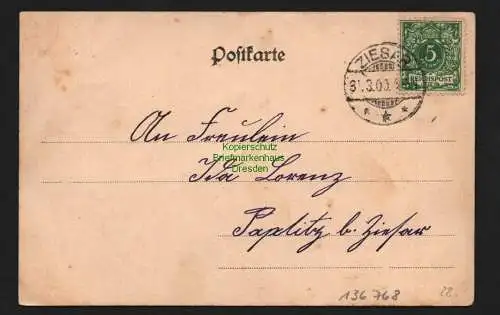 136768 AK Genthin Brandenburgerstrasse Geschäfte Marie Knop Pfandl 1900 Ziesar