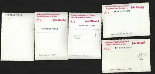 136803 5x Foto Schlesien 1935 BDM Bauernschule Neisse Frauen Sport Hochsprung