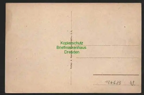 136633 AK Friedrichshütte O.-S. um 1920 Bahnhof Einfahrt Werksgelände