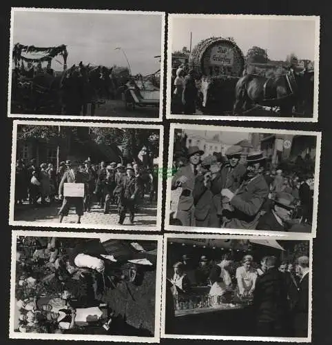 136804 5x Foto Schlesien 1935 Grünberg Erntedankfest Festumzug Guben Trachten