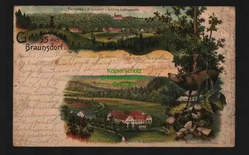 135239 AK Braunsdorf bei Lichtenwalde 1903 Litho Haus Flechsig Hirsch Schloss