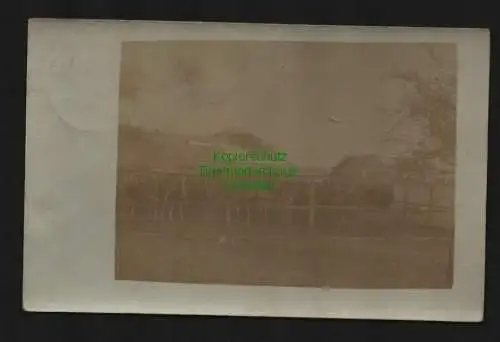 135288 AK Deutsch Südwestafrika Straußenfarm Karibib 1913