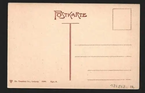 134843 AK Hagenau i. Elsass  Haguenau  Metzgerstrasse 1906