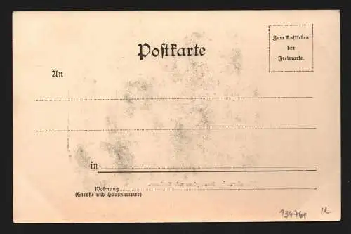 134761 AK Hersbruck Marktplatz Rathaus um 1900