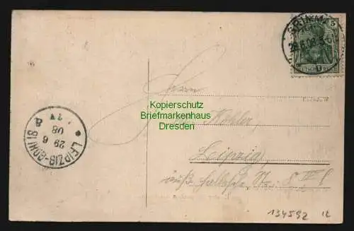 134592 AK Kloster Nimbschen bei Grimma 1908 Wirtschaft Forsthaus