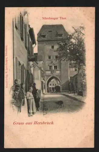 134762 AK Hersbruck Nürnberger Thor um 1900