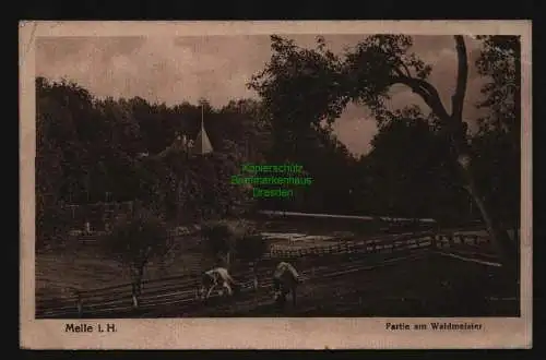 134454 AK Melle i. H. Partie am Waldmeister 1918