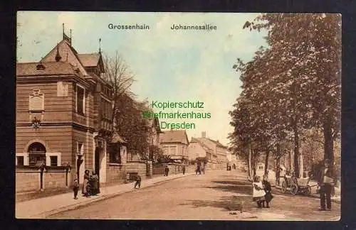 131871 AK Großenhain Johannesallee 1923