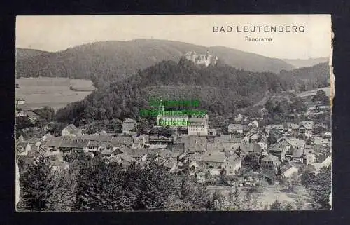 131499 AK Bad Leutenberg 1908 Panorama