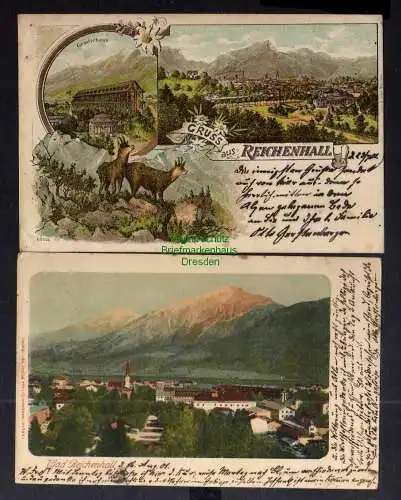 130482 2 AK Bad Reichenhall 1901 Litho Panorama Gradirhaus Gemsen Edelweiß