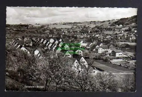 130171 AK Sennfeld Baden 1960 Fotokarte Panorama Adelsheim