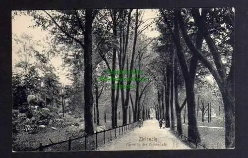 129894 AK Zielenzig Sulecin 1915 Feldpost Bahnpost Promenade Lazarett