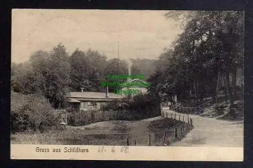 129080 AK Schildhorn Grunewald Berlin Grunewald 1908