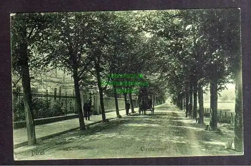 128654 AK Düren um 1910 Tivolistrasse Allee