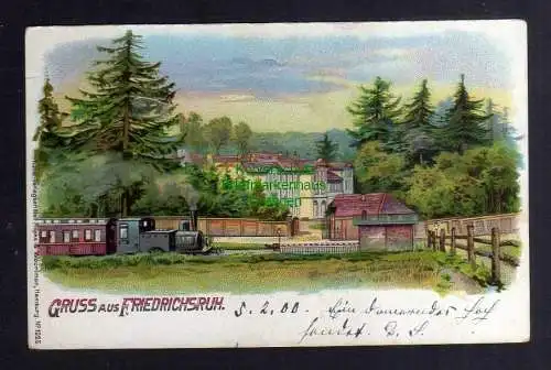 129094 AK Friedrichsruh Aumühle 1900 Bahnhof Haltepunkt Litho