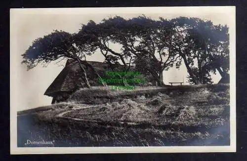 128140 AK Ostseebad Ahrenshoop i.P. Dornenhaus Fotokarte