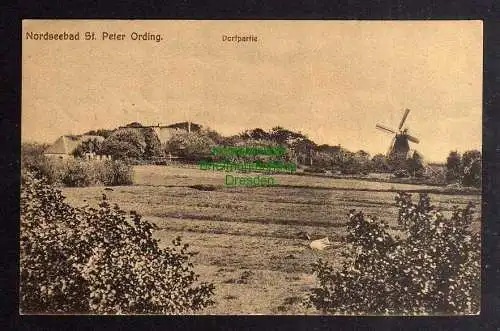 126555 AK Nordseebad Sankt Peter-Ording 1919 Tating Dorfpartie mit Windmühle