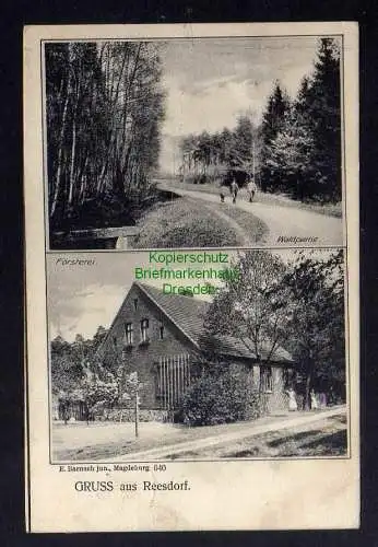 126291 AK Reesdorf Möckern 1908 Försterei Waldpartie Wanderweg