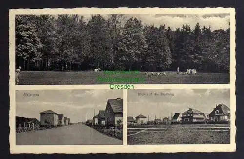 125863 AK Berlin Zehlendorf 1939 Parksiedlung Schönow Alsterweg Schönower Park