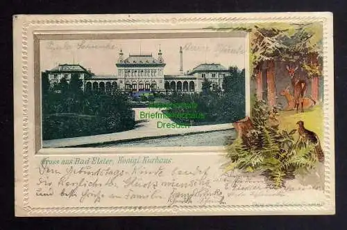 124317 AK Bad Elster 1901 Königl. Kurhaus Passepartout Rehe geprägt