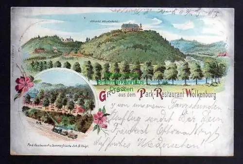 124070 AK Gruss aud dem Park Restaurant Wolkenburg Bahnpost Grossbothen 1900