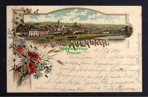 122841 AK Auerbach Litho 1898 Panorama Bumen Mohn