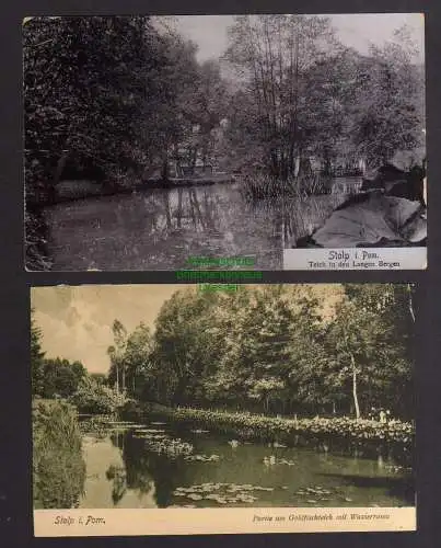 122519 2 AK Stolp i. Pom. 1906 Teich in den Langen Bergen Goldfischteich