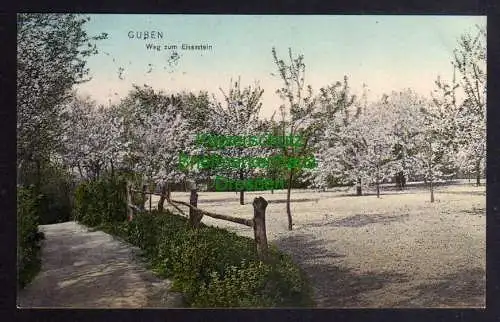 121669 AK Guben 1909 Baumblüte Weg zum Eiserstein