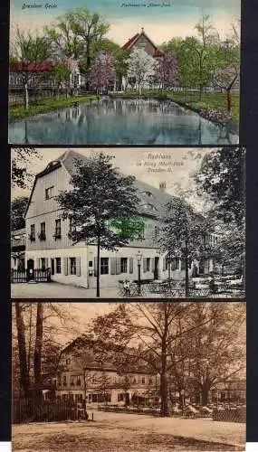 122569 3 AK Dresden Dresdner Heide Fischhaus am Albertpark um 191