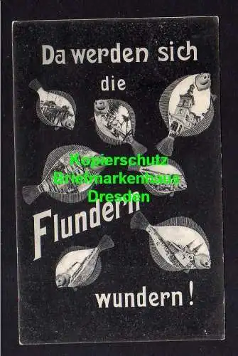 118056 AK Seebad Heringsdorf 1907 ... da werden sich die flundern wundern Fisch