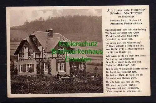 117003 AK Streckewalde Bahnhof 1932 Cafe Hubertus