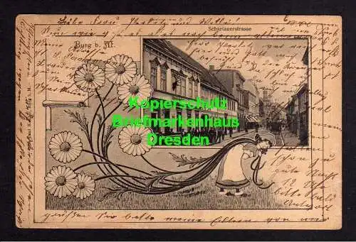 116216 AK Burg bei Magdeburg 1903 Schartlauerstrasse Hirsch Apotheke