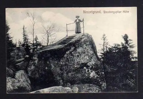 111753 AK Steinbergspitze Höhe Nesselgrund bei bad Altheide Bez. Breslau 1914