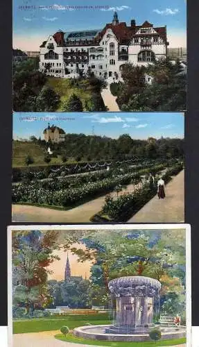 111433 3 AK Chemnitz Rosarium 1912 von Zimmermannsches Sanatorium Schlossteich 1