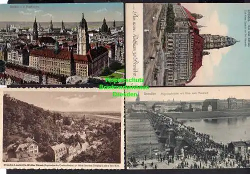 114433 4 AK Dresden Neues Rathaus Augustusbrücke Neustadt 1906  Loschwitz