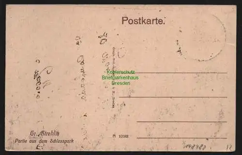 148488 AK Strzelce Opolskie Groß Strehlitz 1921 Schlosspark