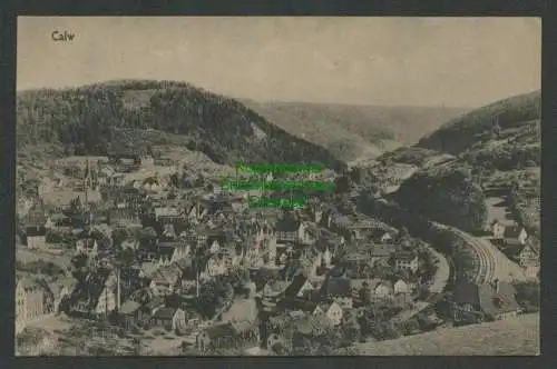 139262 AK Calw Panorama 1924