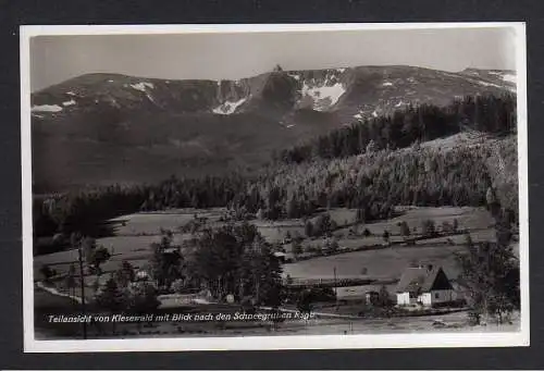 107636 AK Kiesewald Riesengebirge Fotokarte um 1935 Schneegruben