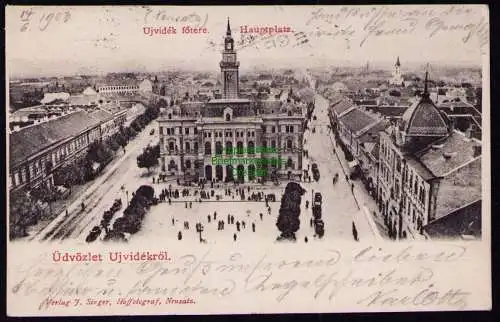 165745 AK Novi Sad Neusatz Ujvidek Novy Sad Serbien Rathaus 1903