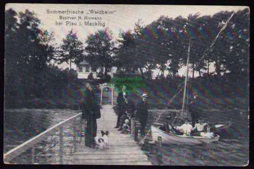 165670 AK Plau i. Mecklenburg 1909 Sommerfrische Wlafheim H. Niemann