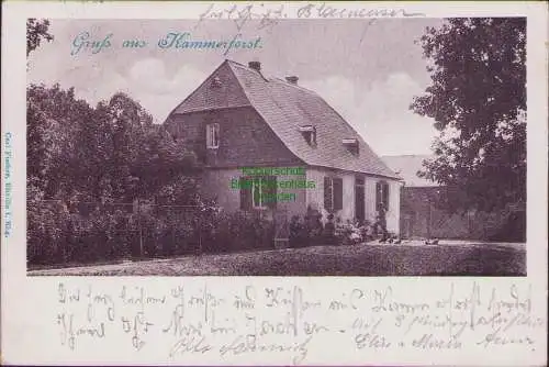 171699 Ansichtskarte Kammerforst 1902 Verlag Carl Fischer, Eitville 1. Rhg.