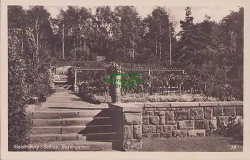 154995 Ansichtskarte Waldenburg Schlesien Rosengarten Fotokarte um 1930