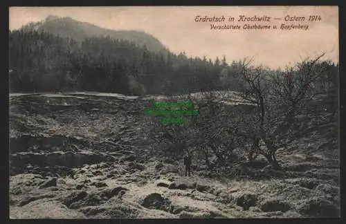 155031 Ansichtskarte Krochwitz bei Bodenbach 1914 Erdrutsch Verschüttete Obstbäume u. Hopfe