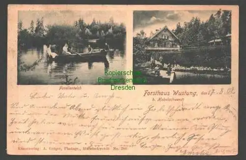 146033 AK Forsthaus Wustung b. Habelschwerdt 1902 mit Forellenteich