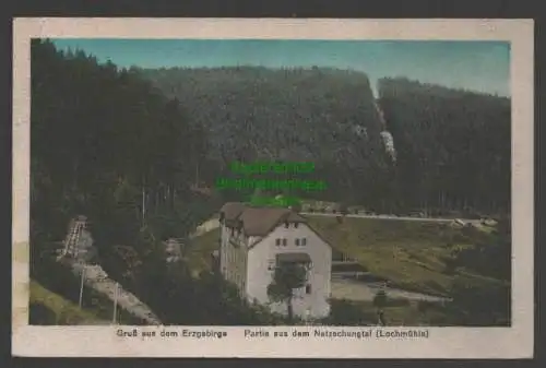 141058 Ansichtskarte Natzschungtal Lochmühle Erzgebirge 1919