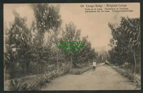 139114 Ganzsache Congo Belge Belgisch Kongo Plantations de Funtumia  Standplaats