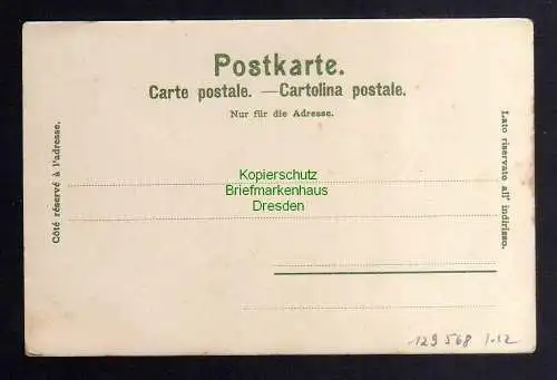 129568 AK Rheinfelden Baden Litho um 1900 Säckingen Lauffenburg Waldshut