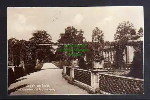 128119 AK Sagan am Bober Ludwigsgarten mit Fuchsiengang 1938