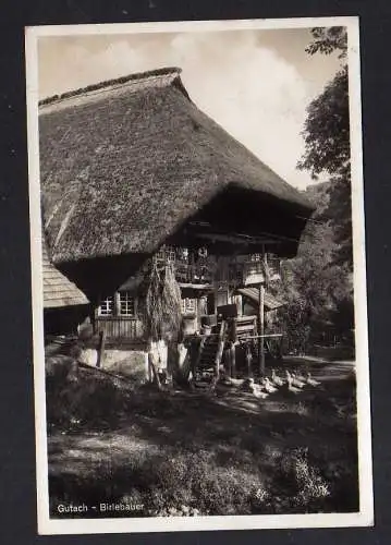 110435 Ansichtskarte Gutach Schwarzwaldbahn Fotokarte 1935 Birlebauer