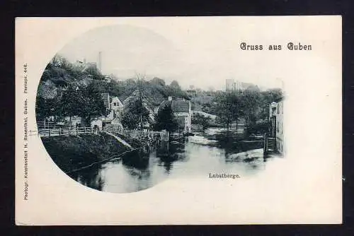 106865 Ansichtskarte Guben Lubstberge um 1905